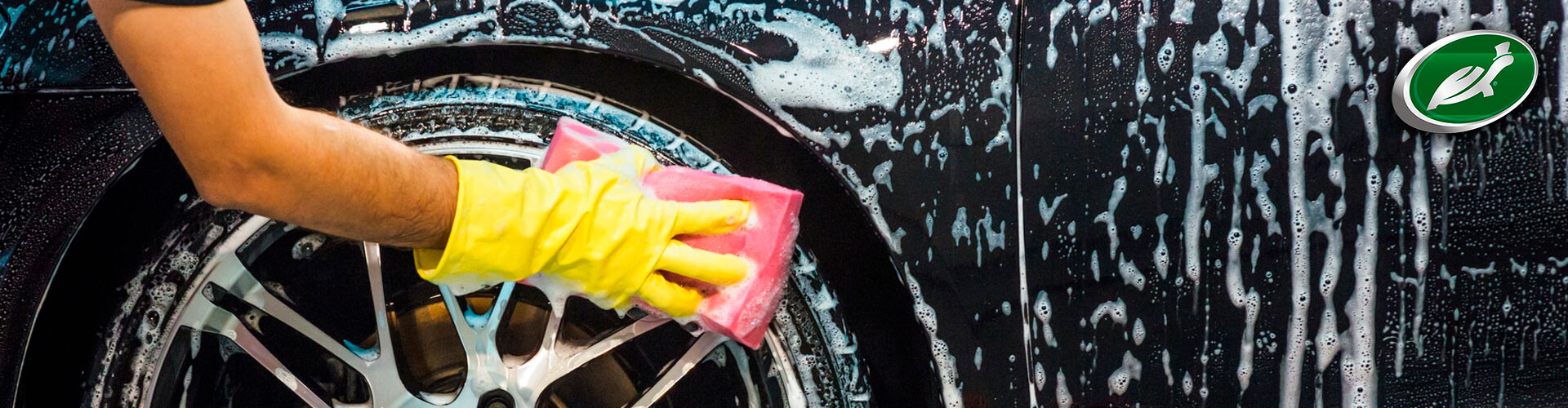 LIMPIEZA & DETAILING TURTLE WAX