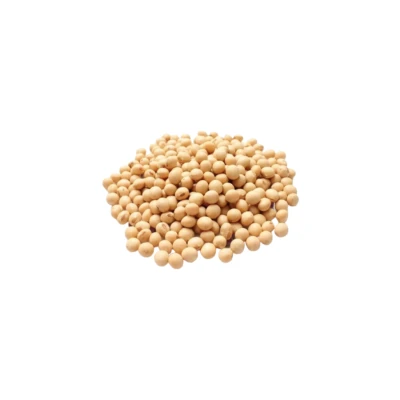 POROTO DE SOJA ENTERO 500G Poroto Soja Entero 500g