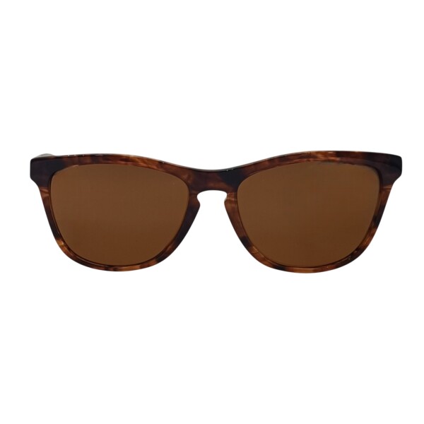 IO204333 marróncombinado