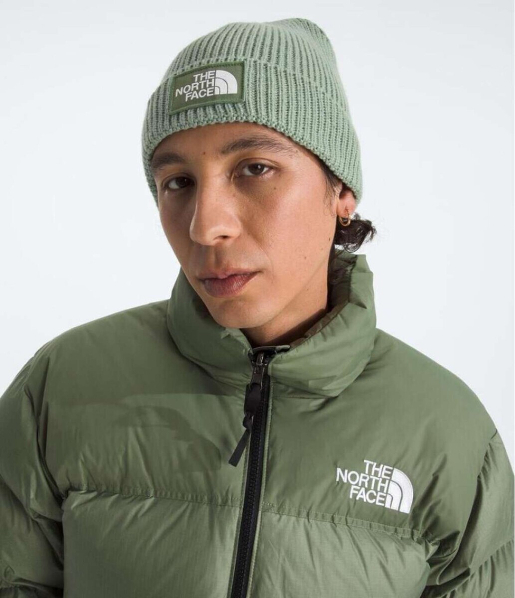 Gorro de punto TNF - Slate Moss/bark Mist 