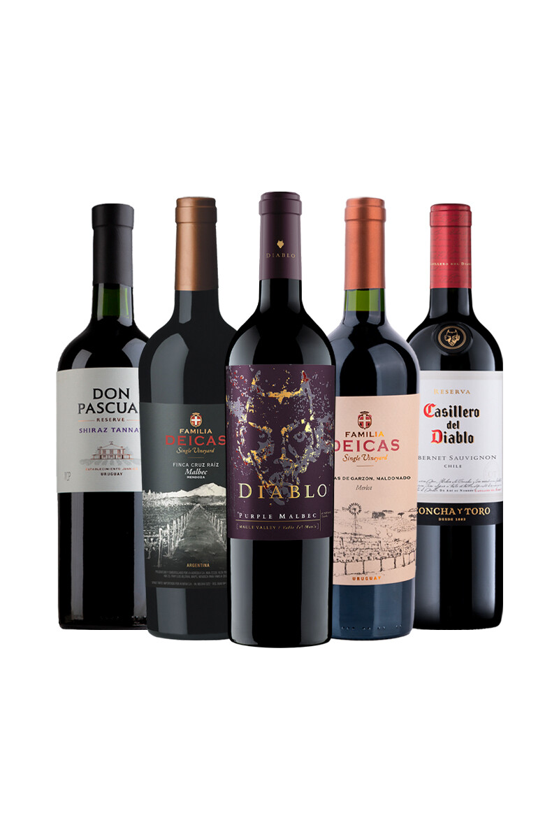 Pack Bacán Favoritos del año por intensidad y carácter x6 vinos 
