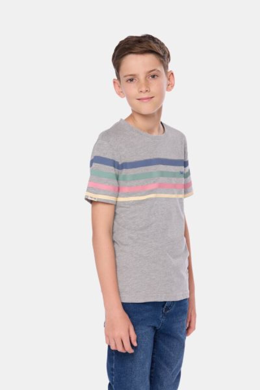 REMERA RAYADA Gris