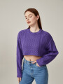 Sweater Biolcati Purpura