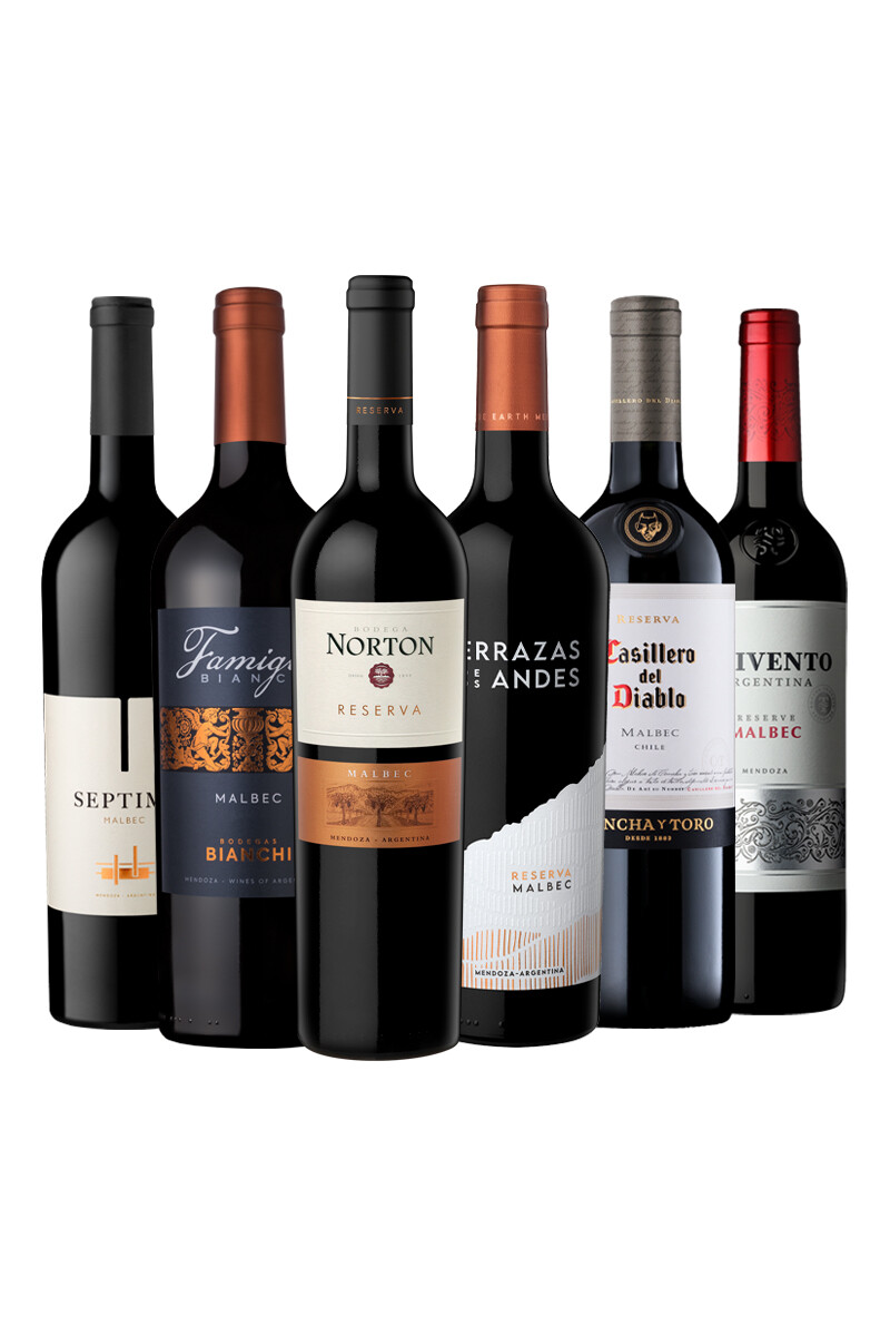 Pack Bacán Selección Bacanazo Fin de Año x6 vinos argentinos 