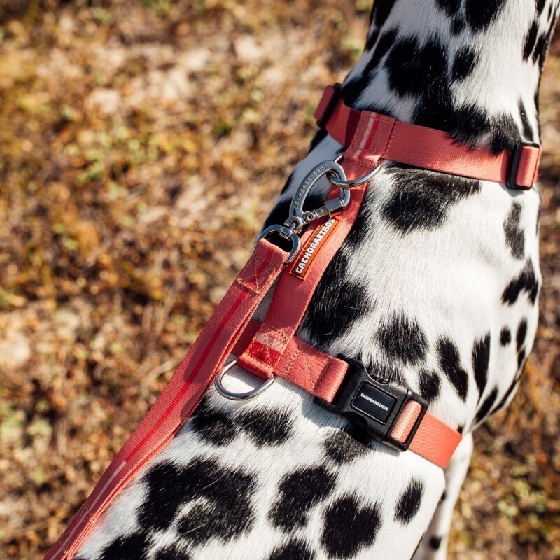 Arnes H de paseo Cachorreiros Coral Talle S/P