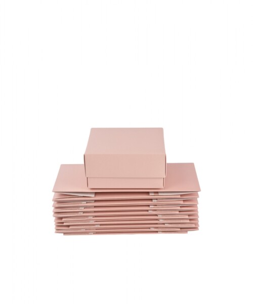 Pack x 20 unid - Caja 04 12X12X6 cm Laminada NUDE