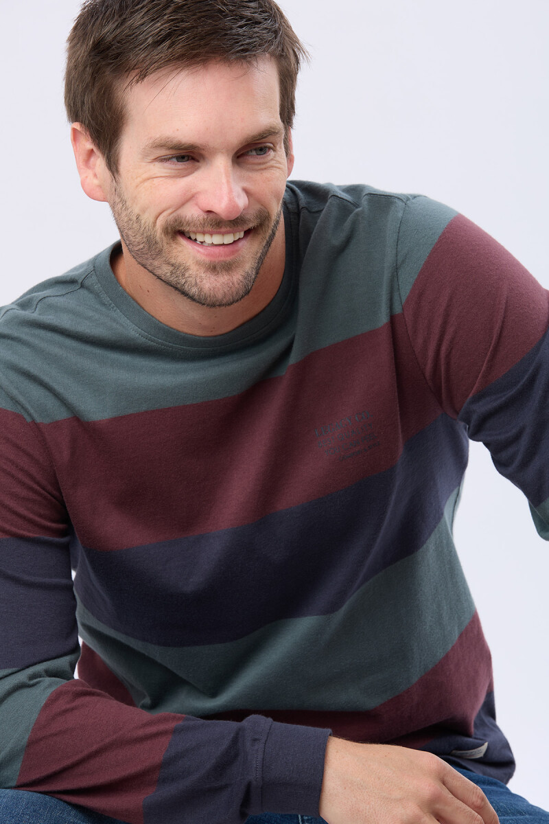 REMERA RAYADA DE ALGODÓN - Azul 