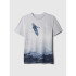 APR ELEVATED GRAPHIC TEE GREY MATTER