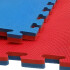 Piso Tatami X10 Goma Eva Encastrable 1x1m 2cm Gimnasio Niños Color Azul Rojo