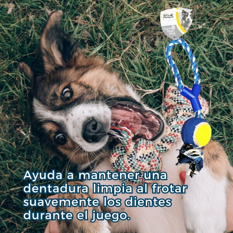 JUGUETE CON CUERDA Y PELOTA PARA PERROS JUGUETE CON CUERDA Y PELOTA PARA PERROS