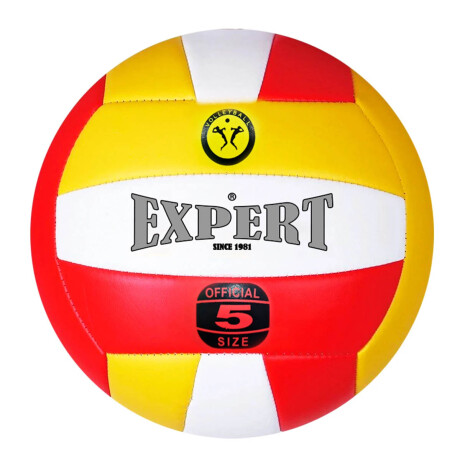 Pelota Volleyball Expert Nº5 Oficial Voley Playa Pel005002
