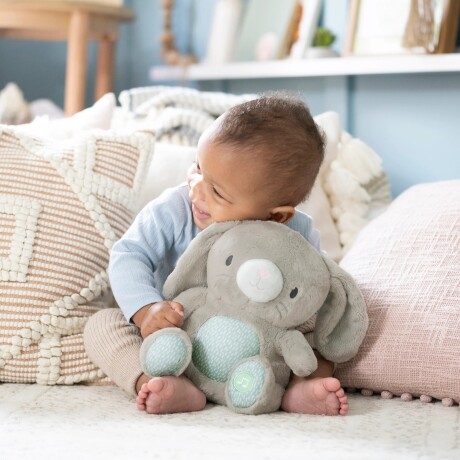 Peluche de Apego Relajante Musical e Interactivo Ingenuity Peluche de Apego Relajante Musical e Interactivo Ingenuity
