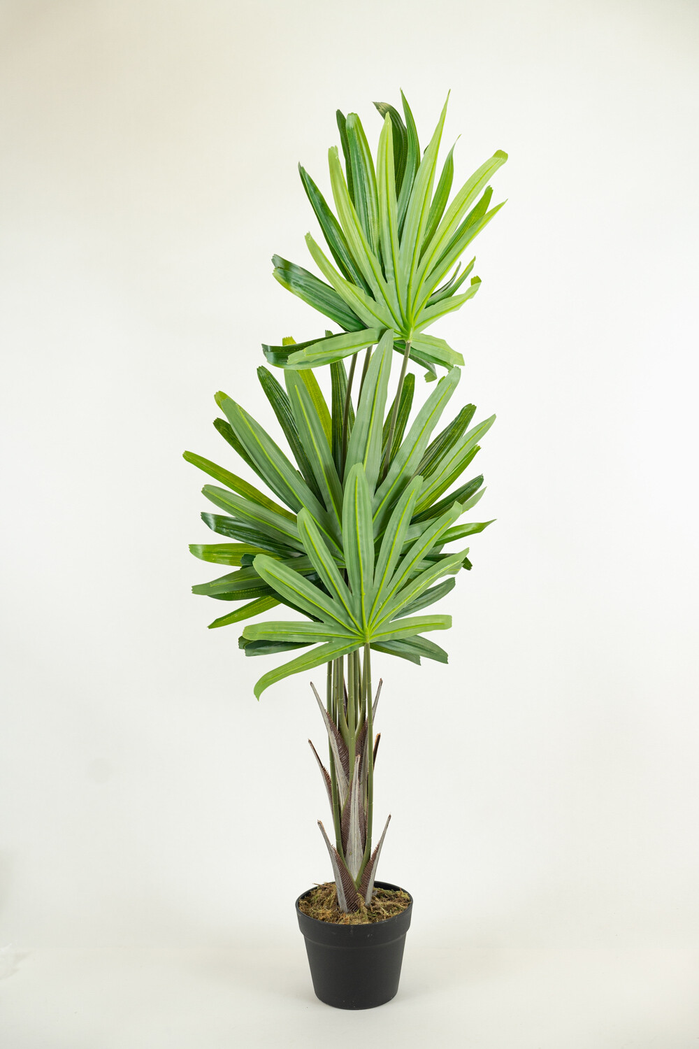 Planta Palm100cm Color Unico