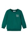 Sudadera Toms Forest Biome