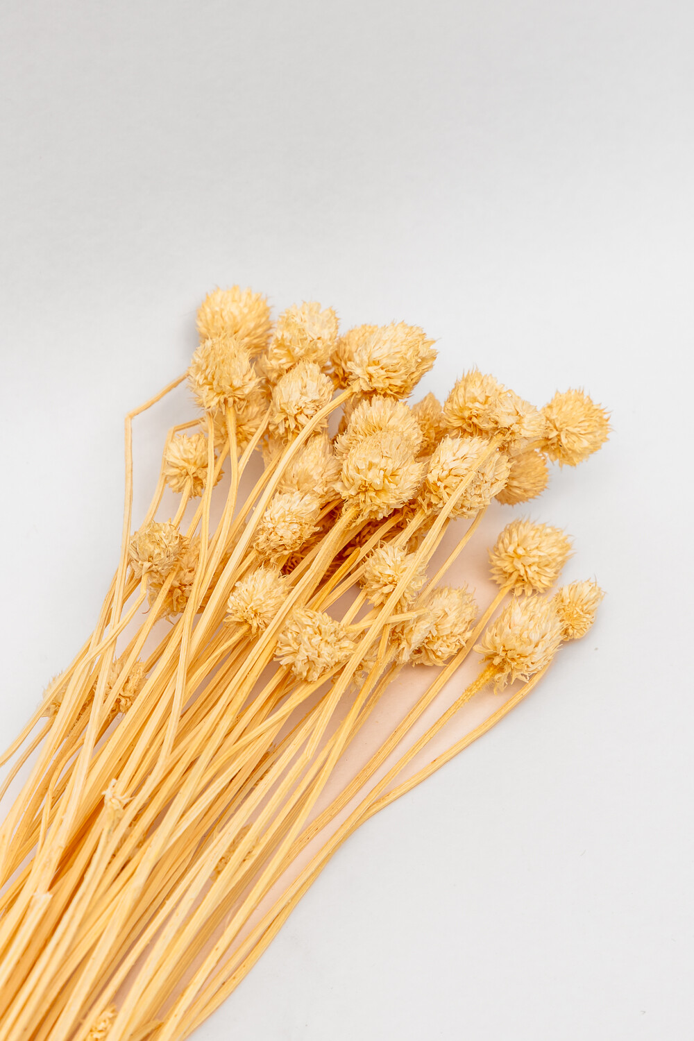 Deco Floral Flores Secas Color Unico