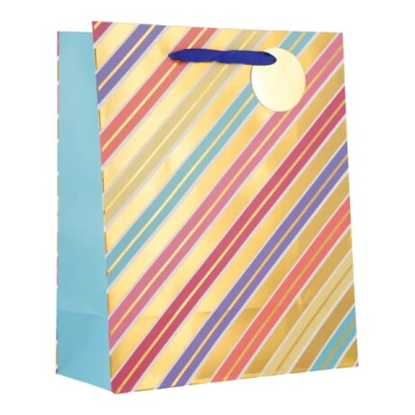 Bolsa Top Grande Rayas Diagonales Diseño 1