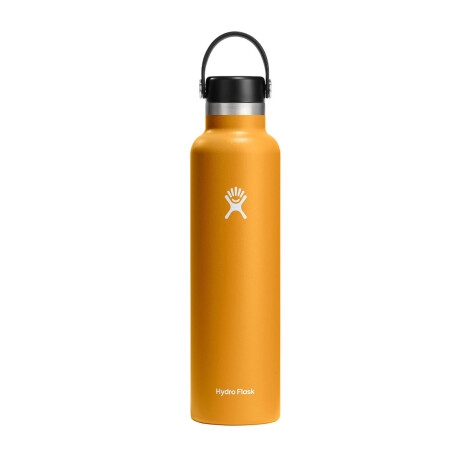 24 oz Standard Mouth Fossil