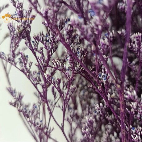 Ramo Frondoso De Flores Secas Violeta