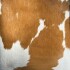 Petit Stool Cowhide claro