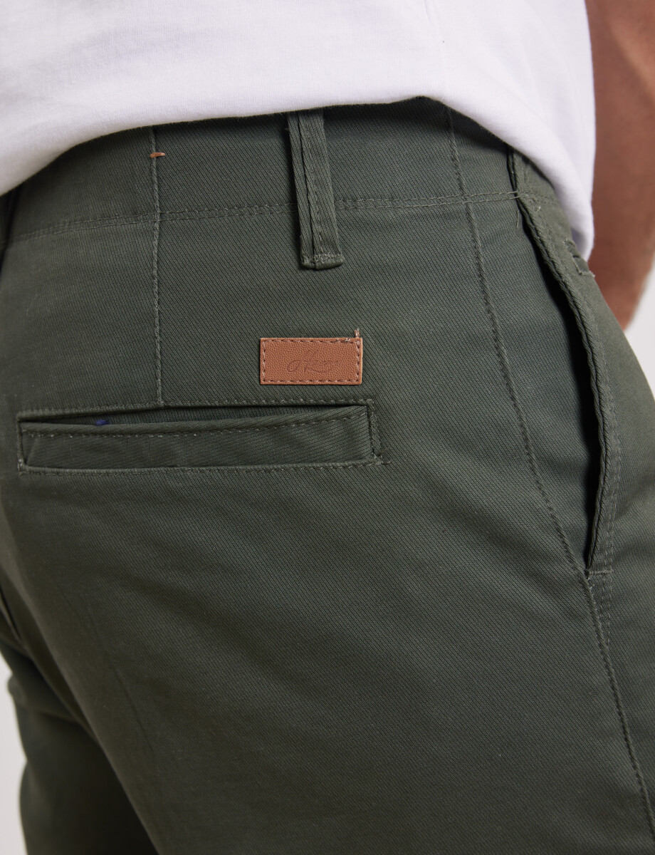 080422 PANTALÓN SPORT S/PINZAS HARRY Verde