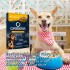 SALSA ORIGENS PERRO ADULTO 85 GR RAZAS PEQUEÑAS POLLO