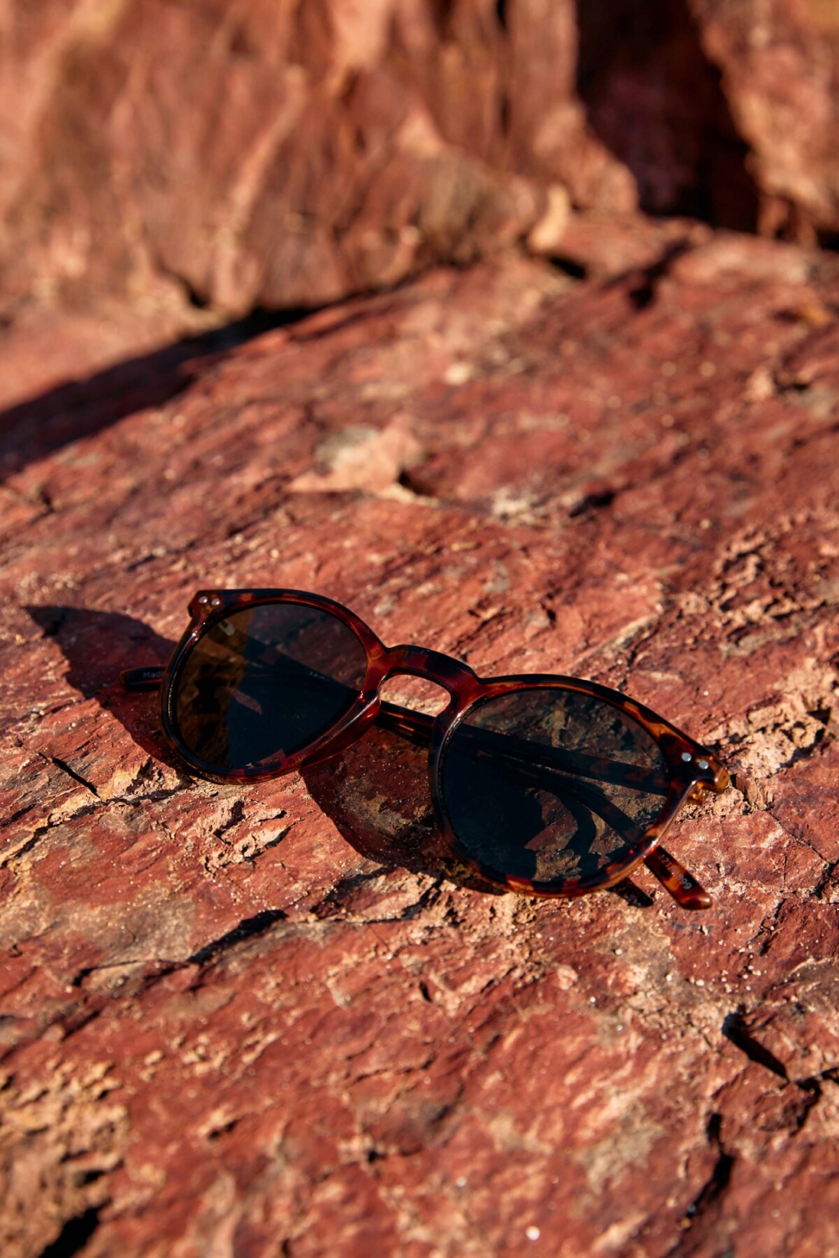 Lentes Ryder Camel