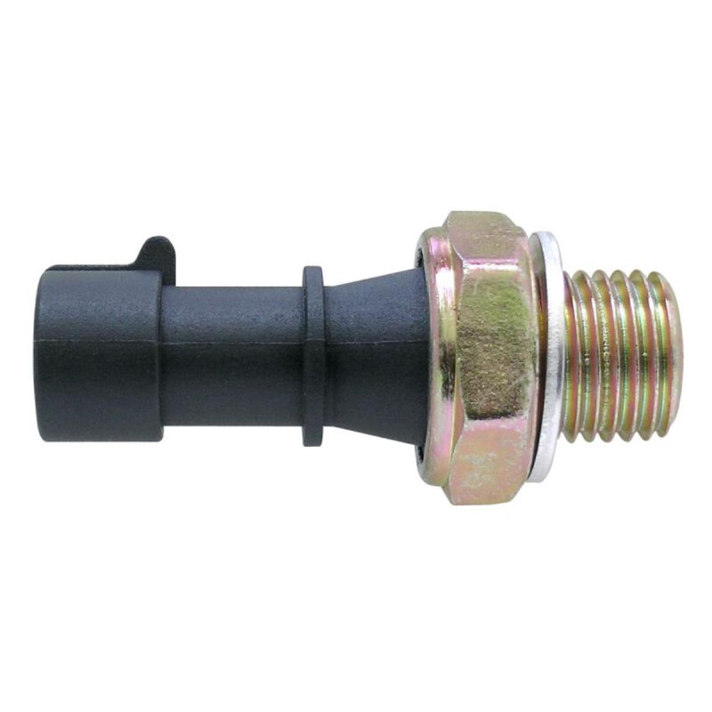 BULBO DE ACEITE Bulbo De Aceite