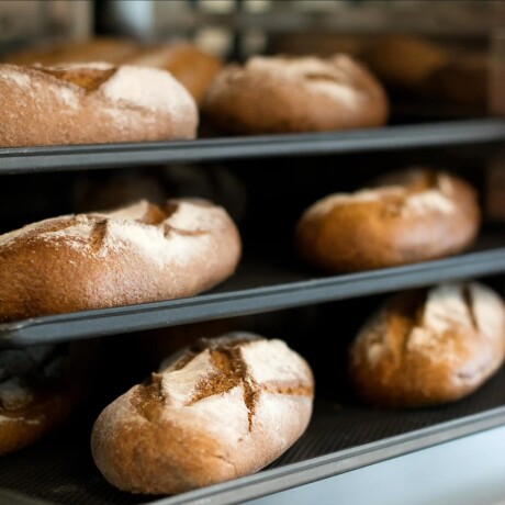 Horno convector Anna 4 bandejas Horno convector Anna 4 bandejas