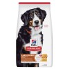 Hill's Science Diet Canine Adult Large Breed 15 kgs Hill's Science Diet Canine Adult Large Breed 15 kgs