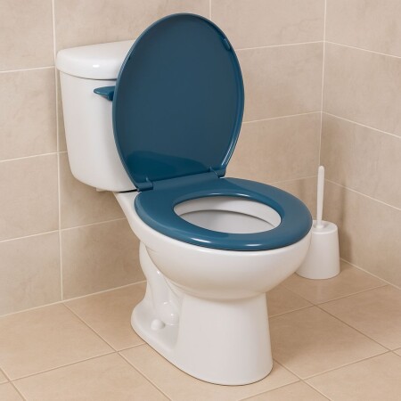 TAPA ASIENTO INODORO CANADIAN ATMA TAPA ASIENTO INODORO CANADIAN ATMA