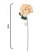 Flor x1 Beige