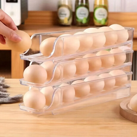 Huevera vertical con inclinación para 21 huevos Sc