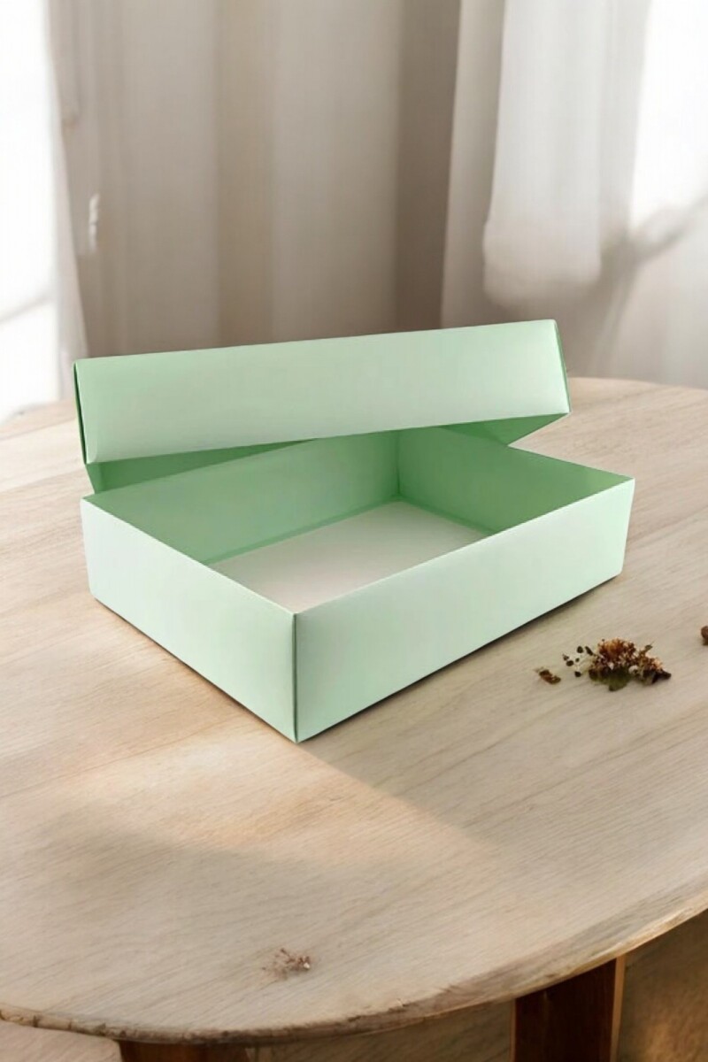 Caja 08 - 20x30x9 cm - VERDE AGUA 