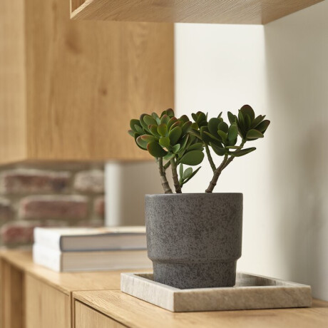 Planta Artificial Jostein H23 Cm Verde
