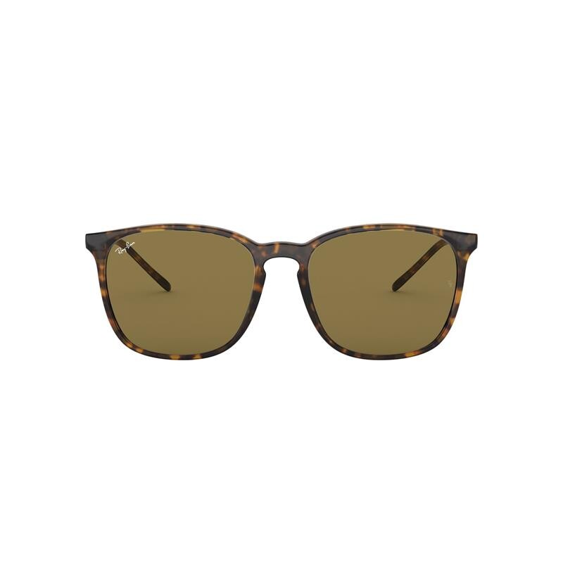 Ray Ban Rb4387 710/73