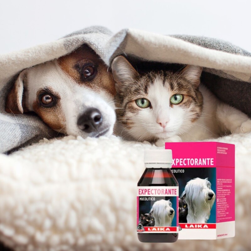 EXPECTORANTE JARABE LAIKA 100 ML EXPECTORANTE JARABE LAIKA 100 ML