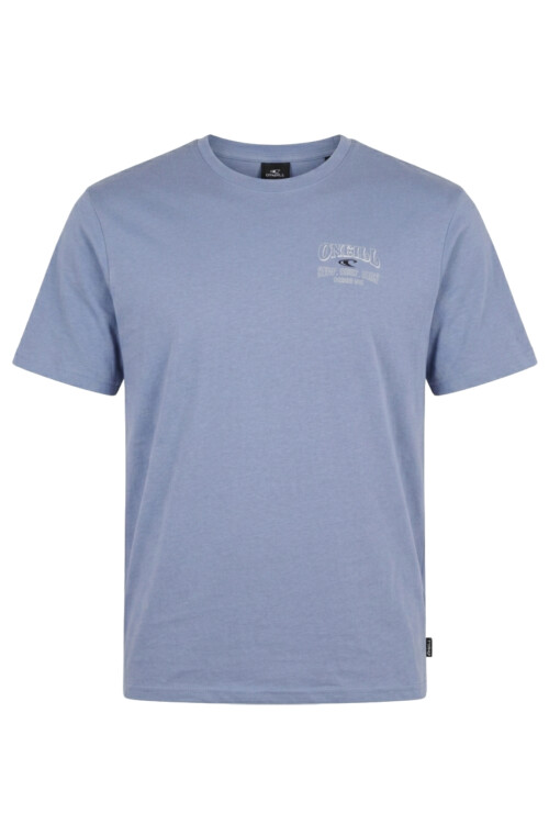 Remera O'Neill Vintage Truck - Azul Claro