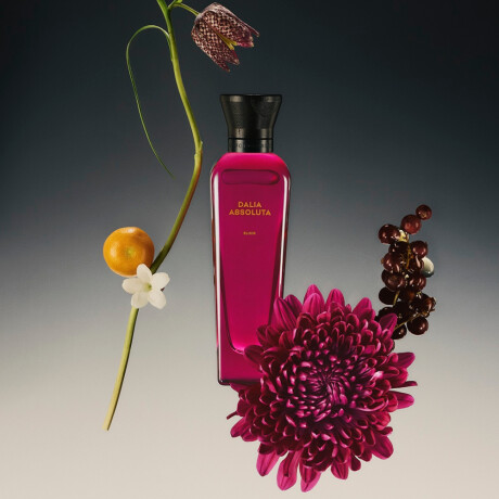 Perfume Adolfo Domínguez Dalia Elixir Parfum EDP 100ml Perfume Adolfo Domínguez Dalia Elixir Parfum EDP 100ml