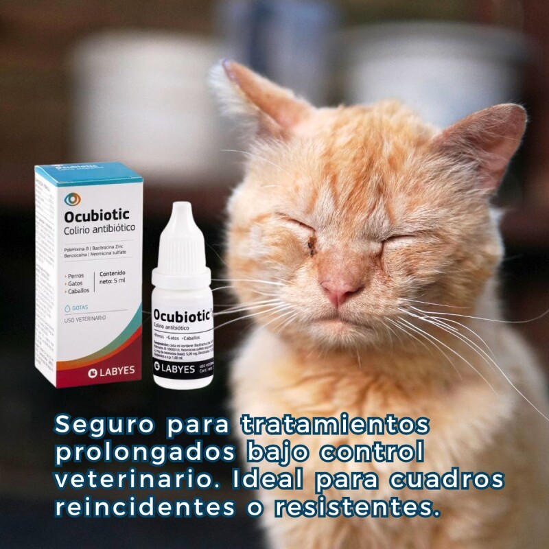 OCUBIOTIC COLIRIO ANTIBIÓTICO SIN ESTEROIDES 5 ML OCUBIOTIC COLIRIO ANTIBIÓTICO SIN ESTEROIDES 5 ML
