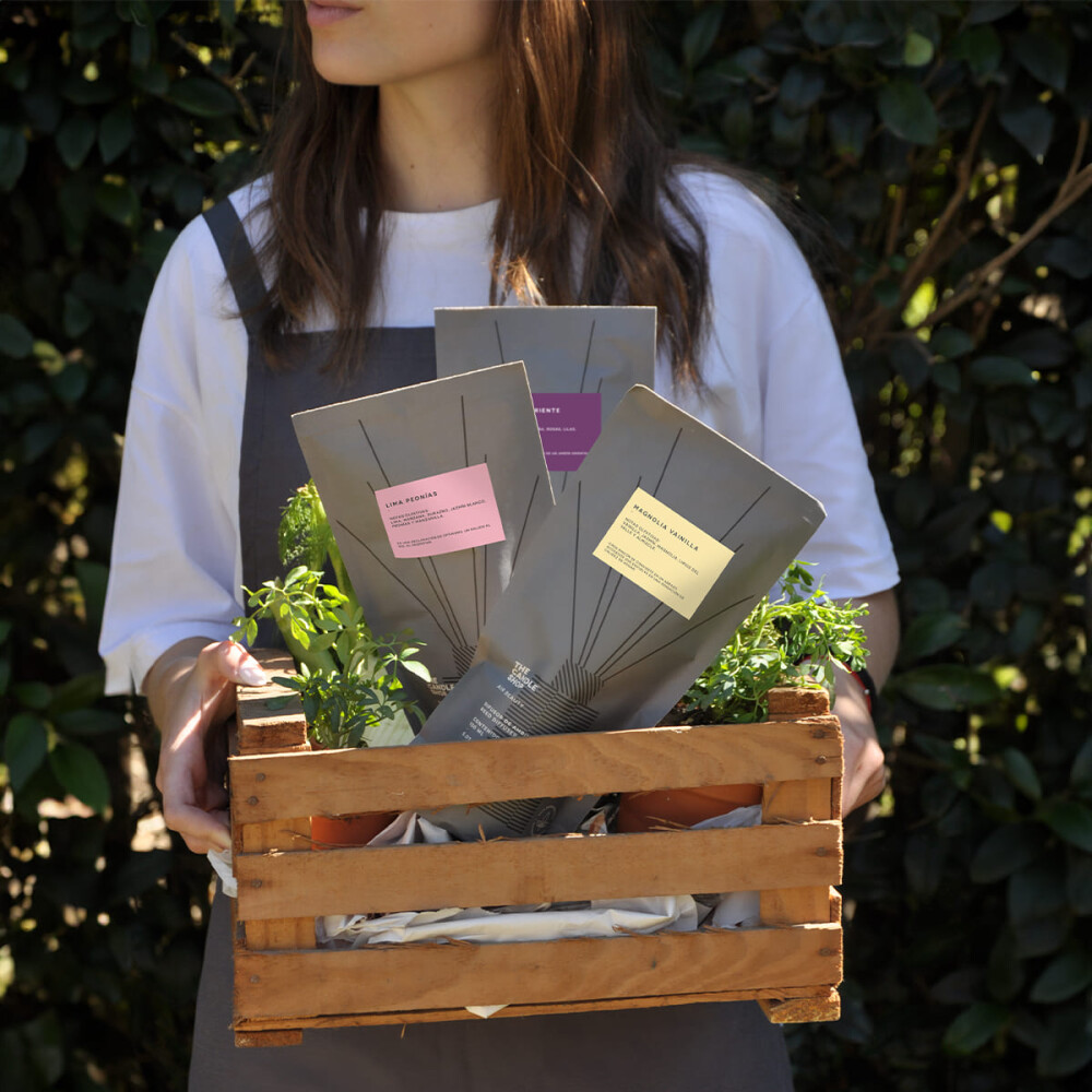 DIFUSOR BASIC COMPOST TILO BAMBOO