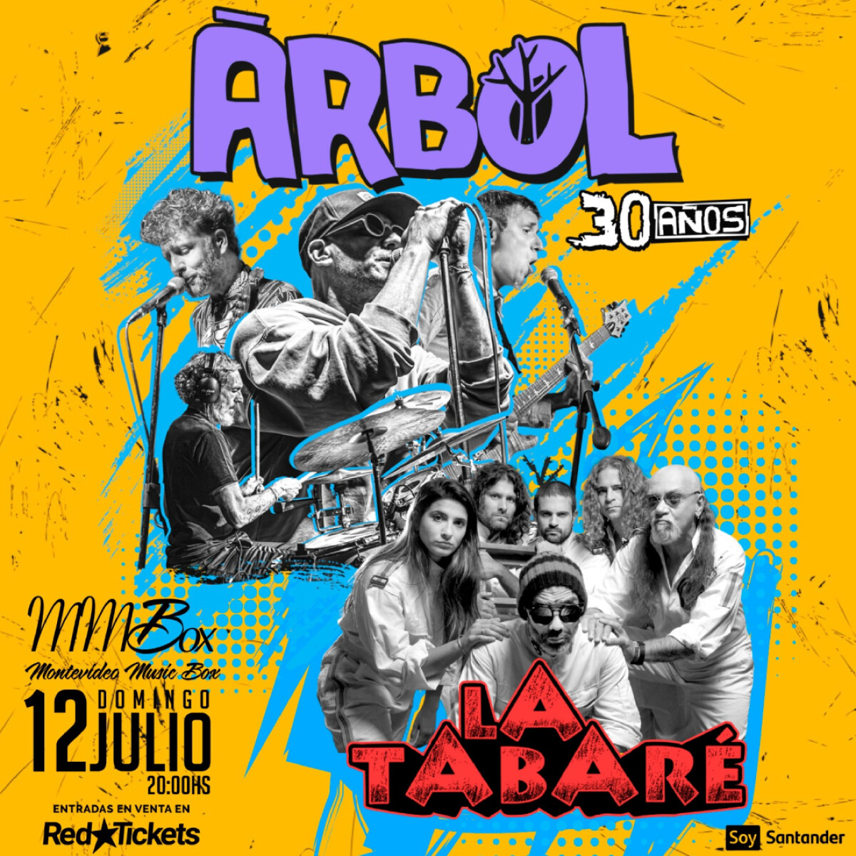 Árbol junto a La Tabare en MMB - General 