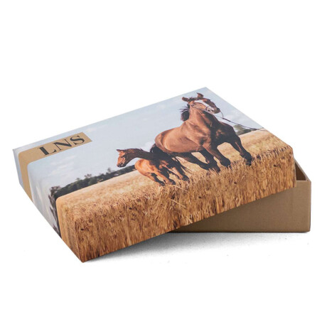 Billetera Balder Café