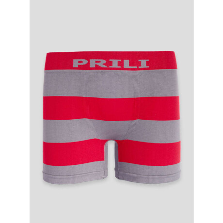 Boxer galés Rojo