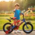 Bicicleta Infantil Yjtong R16 Canasto Parrilla Guardabarros Rojo 1