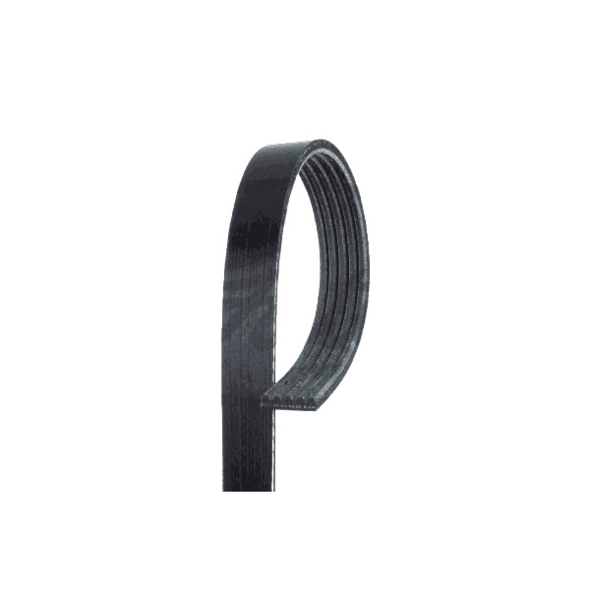 CORREA ALTERNADOR - PALIO SIENA STILO CORSA 1.4 A/A 2010 GATES 