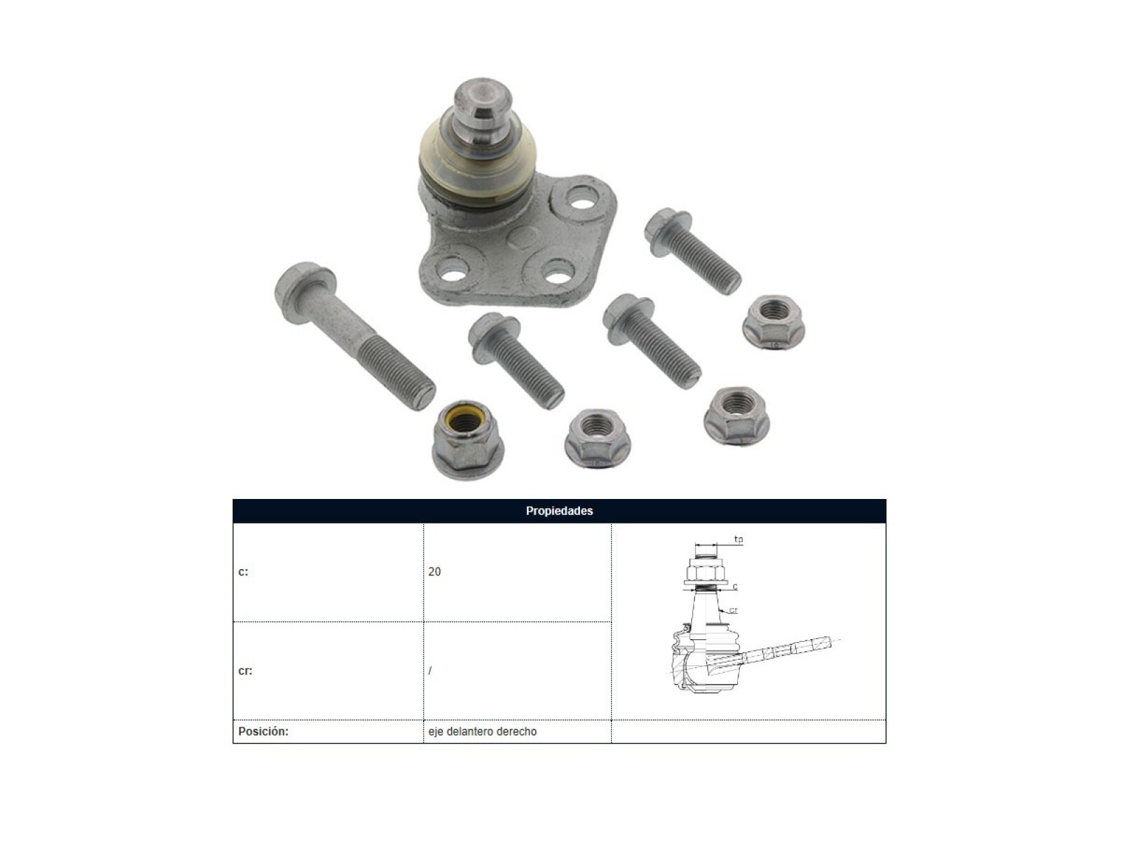 Rotula Del Renault Kangoo 18-25 Der 