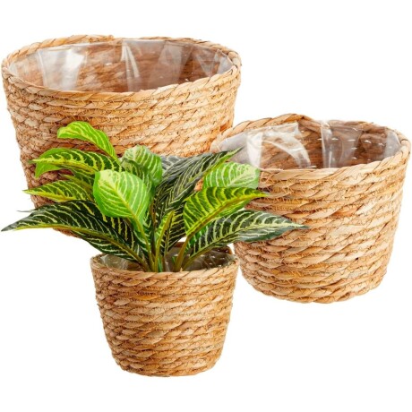 Set de 3 canastos Seagrass Marron