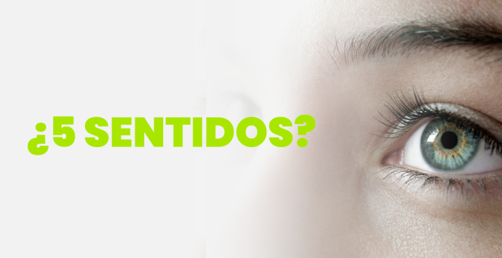 ¿5 sentidos?