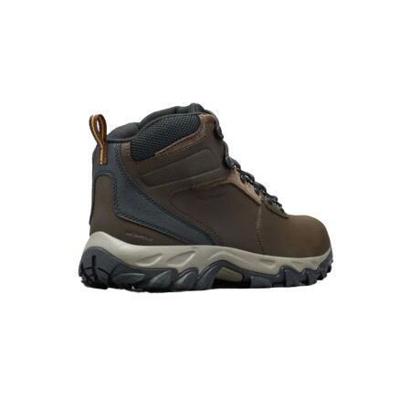 COLUMBIA NEWTON RIDEGE PLUS II Brown