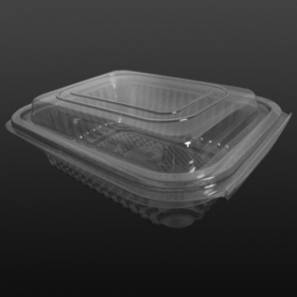 BANDEJA PET CRISTAL CON TAPA BISAGRA 15X19X6 CM. TRANSPARENTE